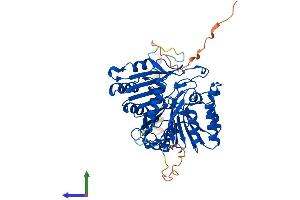 Protein Structure (PS) image for Phospholipase D4 (PLD4) (AA 1-503) protein (His tag) (ABIN7558514)