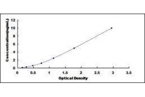 Deoxyribonuclease I-Like 3 (DNASE1L3) ELISA Kit