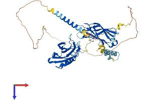 Synaptotagmin IX (SYT9) (AA 1-491) protein (His tag)