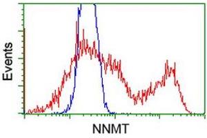 HEK293T cells transfected with either RC200641 overexpress plasmid (Red) or empty vector control plasmid (Blue) were immunostained by anti-NNMT antibody (ABIN2454302), and then analyzed by flow cytometry. (NNMT antibody)