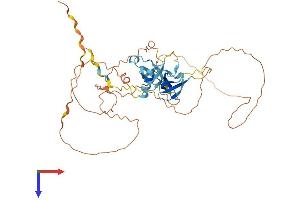 AlphaFold protein structure predicition of Mouse Recombinant D7h11orf16 Protein, UniprotID Q9JJR6 (D7h11orf16 Protein (AA 1-402) (His tag))