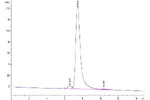Size-exclusion chromatography-High Pressure Liquid Chromatography (SEC-HPLC) image for CD24 Molecule (CD24) (AA 27-59) protein (Fc Tag,Biotin) (ABIN7274112)