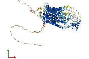 AlphaFold protein structure predicition of Human Recombinant SLCO6A1 Protein, UniprotID Q86UG4 (SLCO6A1 Protein (AA 1-719) (His tag))