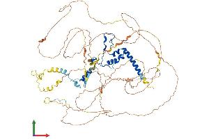 AlphaFold protein structure predicition of Human Recombinant DNTTIP2 Protein, UniprotID Q5QJE6 (DNTTIP2 Protein (AA 1-756) (His tag))