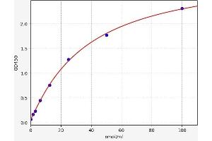 SERPINA3 ELISA Kit