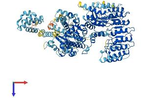AlphaFold protein structure predicition of Mouse Recombinant Nlrp4c Protein, UniprotID Q3TKR3 (Nlrp4c Protein (AA 1-982) (His tag))