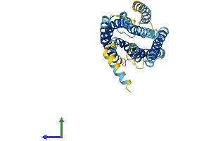 Protein Structure (PS) image for G Protein-Coupled Receptor 141 (GPR141) (AA 1-305) protein (His tag) (ABIN7558278)