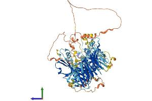 AlphaFold protein structure predicition of Mouse Recombinant Map4k2 Protein, UniprotID Q61161