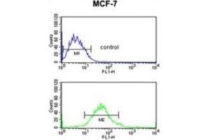 Flow Cytometry (FACS) image for anti-Glucose-6-Phosphate Dehydrogenase (G6PD) antibody (ABIN3002234)