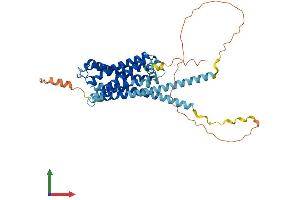 AlphaFold protein structure predicition of Human Recombinant HRH3 Protein, UniprotID Q9Y5N1