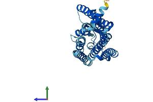 AlphaFold protein structure predicition of Human Recombinant OR4D2 Protein, UniprotID P58180