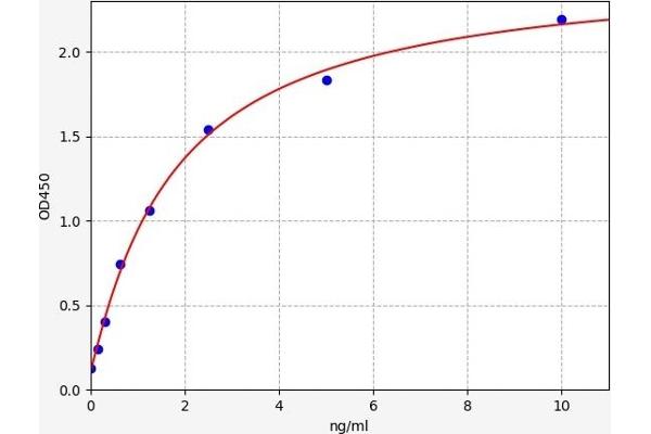 COX3 ELISA Kit