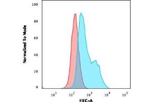 Flow Cytometric Analysis of paraformaldehyde-fixed Raji cells. (POU2AF1 antibody  (AA 148-255))