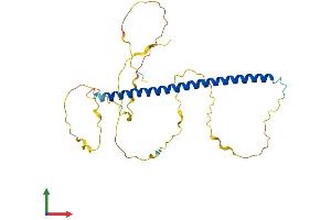 Protein Structure (PS) image for FOS-Like Antigen 1 (FOSL1) (AA 1-273) protein (His tag) (ABIN7563322)