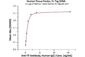 Immobilized Human Tissue Factor, Fc Tag (ABIN6973034) at 1 μg/mL (100 μL/well) can bind Anti-TF Antibody, Human IgG1 with a linear range of 0.