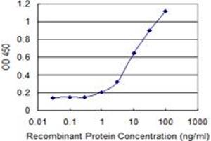 Detection limit for recombinant GST tagged TBCC is 0. (TBCC antibody  (AA 1-346))