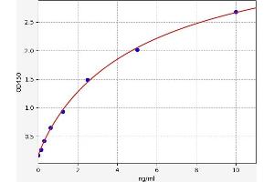 SESN1 ELISA Kit