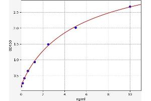 Typical standard curve (SESN1 ELISA Kit)