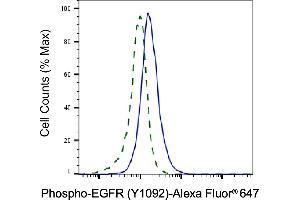 Validation of EGFR knockdown using flow cytometry. (Recombinant EGFR antibody  (pTyr1068))