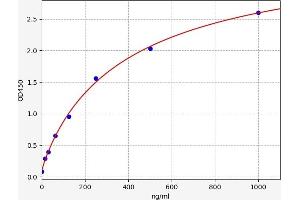 CBS ELISA Kit