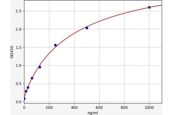 CBS ELISA Kit