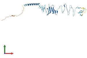 Protein Structure (PS) image for Sarcoglycan, delta (35kDa Dystrophin-Associated Glycoprotein) (SGCD) (AA 1-289) protein (His tag) (ABIN7556749)
