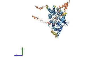 AlphaFold protein structure predicition of Human Recombinant SLC19A1 Protein, UniprotID P41440