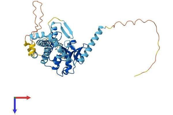 PNPLA3 Protein (AA 1-413) (His tag)