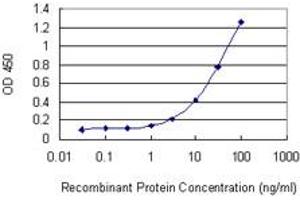 Detection limit for recombinant GST tagged IFNA1 is 0. (IFNA1 antibody  (AA 24-133))