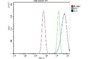 Flow Cytometry analysis of U87 cells using anti-Steroid Sulfatase/STS antibody (ABIN7601166). (STS antibody  (AA 297-547))