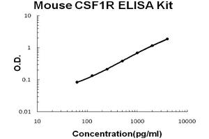 ELISA image for Colony Stimulating Factor 1 Receptor (CSF1R) ELISA Kit (ABIN6720209)