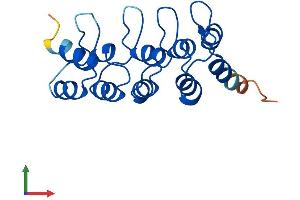 AlphaFold protein structure predicition of Human Recombinant CDKN2C Protein, UniprotID P42773 (CDKN2C Protein (AA 1-168) (His tag))