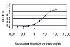Detection limit for recombinant GST tagged ACOT11 is approximately 0. (ACOT11 antibody  (AA 1-110))