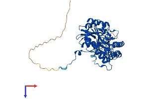 AlphaFold protein structure predicition of Human Recombinant TAT Protein, UniprotID P17735 (Tat (AA 1-454) protein (His tag))