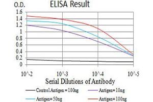 Black line: Control Antigen (100 ng);Purple line: Antigen (10ng); Blue line: Antigen (50 ng); Red line:Antigen (100 ng) (IDH1 antibody  (AA 156-298))