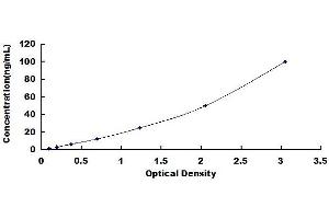 Typical standard curve (IGF2 ELISA Kit)