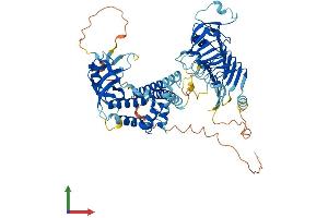 AlphaFold protein structure predicition of Mouse Recombinant Shcbp1l Protein, UniprotID Q3TTP0 (SHCBP1L Protein (AA 1-639) (His tag))