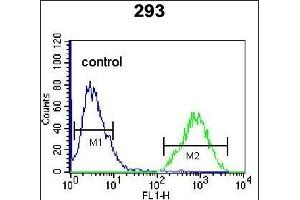 TF Antibody (Center) (ABIN655908 and ABIN2845307) flow cytometric analysis of 293 cells (right histogram) compared to a negative control cell (left histogram). (TFAP4 antibody  (AA 125-154))
