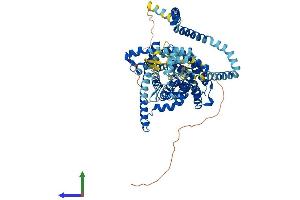 AlphaFold protein structure predicition of Human Recombinant SLC28A3 Protein, UniprotID Q9HAS3