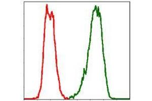 Flow Cytometry (FACS) image for anti-PDZ Binding Kinase (PBK) antibody (ABIN969345)