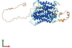 AlphaFold protein structure predicition of Human Recombinant SLC38A3 Protein, UniprotID Q99624 (SLC38A3 Protein (AA 1-504) (His tag))