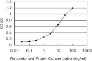 Detection limit for recombinant GST tagged VNN1 is approximately 0. (VNN1 antibody  (AA 298-397))