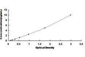 Platelet Derived Growth Factor Receptor beta (PDGFRB) ELISA Kit
