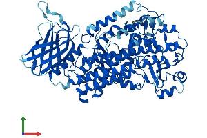 Protein Structure (PS) image for Arachidonate 15-Lipoxygenase B (ALOX15B) (AA 1-676) protein (His tag) (ABIN7554495)