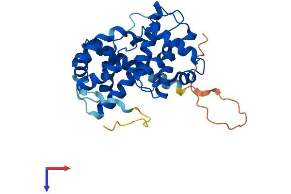 Cyclin D3 Protein (CCND3) (AA 1-292) (His tag)