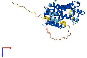 Glycolipid Transfer Protein Domain Containing 2 (GLTPD2) (AA 1-291) protein (His tag)
