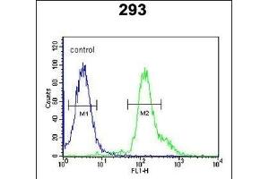 RSPO2 Antibody (C-term) (ABIN651457 and ABIN2840250) flow cytometric analysis of 293 cells (right histogram) compared to a negative control cell (left histogram).