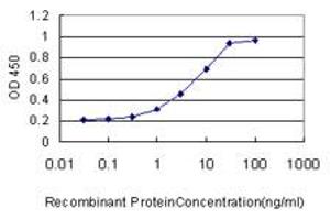 Detection limit for recombinant GST tagged PIK3R4 is approximately 0. (PIK3R4 antibody  (AA 1259-1358))