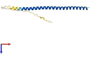 AlphaFold protein structure predicition of Human Recombinant TEX12 Protein, UniprotID Q9BXU0