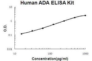 Human ADA PicoKine ELISA Kit standard curve